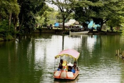 Sejuk dan Dingin Hutan Bambu Andeman, Cocok Self Healing - GenPI.co JATIM