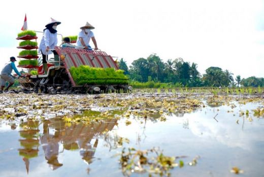 Bangga, Banyuwangi Tambah Lahan Agro Solution Sebegini Jumlahnya - GenPI.co JATIM
