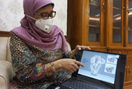 Ahli Biomolekular Unair Jelaskan 4 Mutasi Covid-19, Simak Ya - GenPI.co JATIM