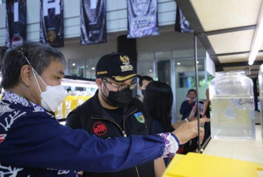 Ikan Cupang, Ikon Perikanan Kediri Menghasilkan Rp 49 Miliar - GenPI.co JATIM