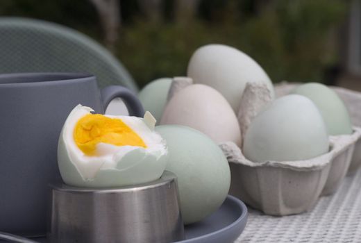 3 Manfaat Kuning Telur Bebek Bagi Kesehatan, Simak! - GenPI.co JATIM