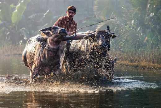 Pesona Desa Wisata Semen Blitar Suguhkan Kearifan Lokal Pedesaan - GenPI.co JATIM