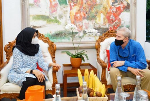 Investor Masuk, Banyuwangi Segera Menjadi Sentra Sapi Perah baru - GenPI.co JATIM