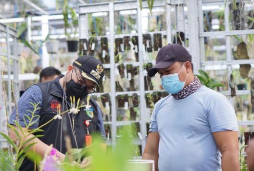 Petani Anggrek di Kediri Girang Gara-gara Bupati Dhito - GenPI.co JATIM