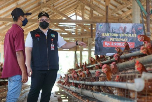 Peternak di Kediri Kini Senang, Dapat Bantuan - GenPI.co JATIM