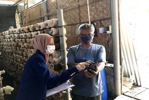 Mahasiswa Ini Buat Alat Siram Kumbung Jamur Otomatis - GenPI.co JOGJA
