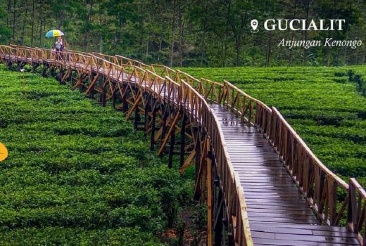Anjungan Kenongo, Spot Foto Favorit Kebun Teh Kertowono Lumajang - GenPI.co JATIM