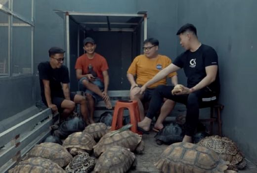 Kura-kura Aldabra, Peliharaan Crazy Rich yang Harganya Wow Banget - GenPI.co JATIM