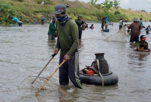 Asyiknya Menangkap Ikan Mabuk di Tulungagung - GenPI.co JATIM