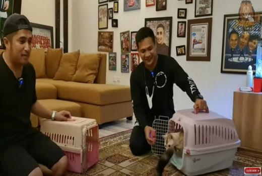 Crazy Rich Trenggalek ke Jakarta, untuk Kucing Seharga Motor - GenPI.co JATIM