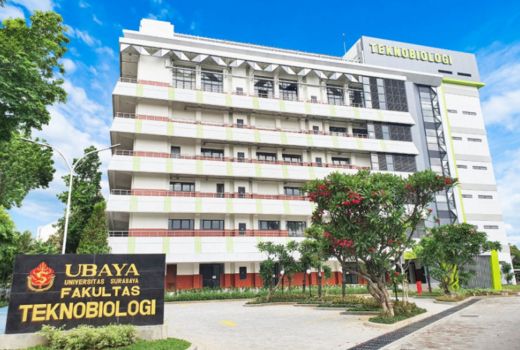 Keren! 4 Tim Ubaya Lolos Kompetisi Pfizer Biotech - GenPI.co JATIM