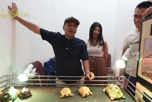 Koleksi Kura-kura Albino Crazy Rich Surabaya ini Punya Harga Wow - GenPI.co JATIM