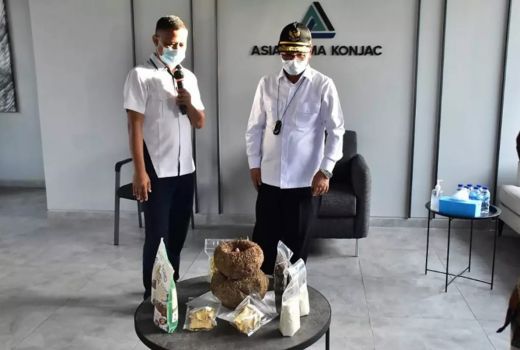Porang Varietas Unggulan Madiun Tersebar Hingga Konawe - GenPI.co JATIM