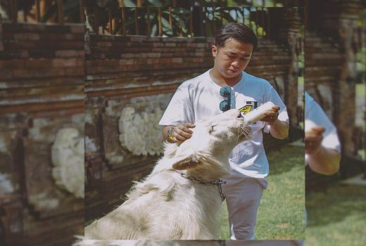 Gokil! Crazy Rich Surabaya Nyusui Singa - GenPI.co JATIM