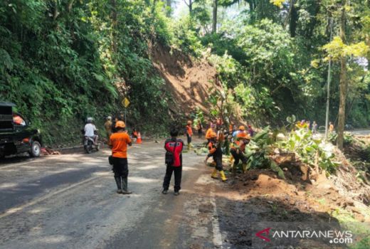 Jalan Jember-Banyuwangi Tertutup Longsor, Macet Total - GenPI.co JATIM