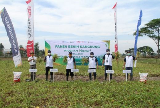 Benih Kangkung Meningkat Tajam, Mencengangkan - GenPI.co JATIM