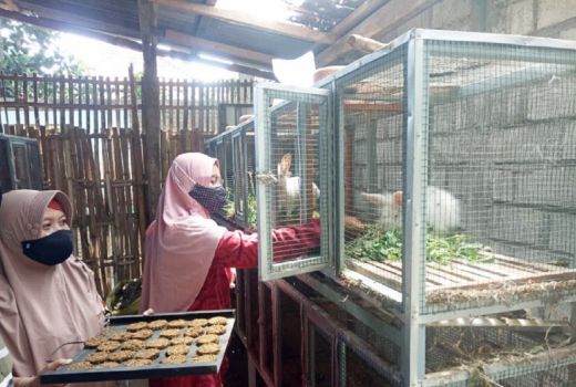 Kelompok Usaha di Kediri ini Produksi Biskuit Khusus Kelinci - GenPI.co JATIM