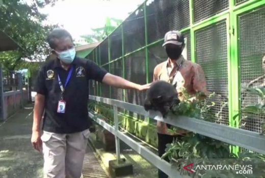 Disparpora Madiun Minta Gunakan PeduliLindungi di Tempat ini - GenPI.co JATIM