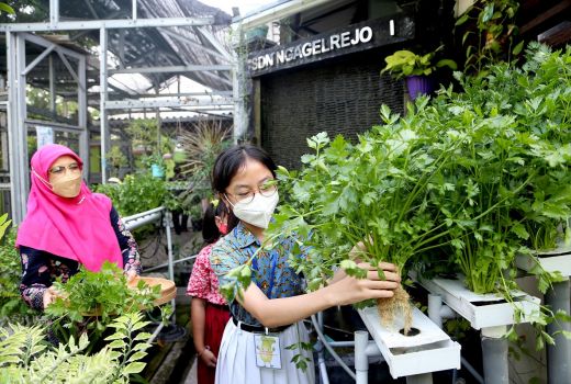 12 Sekolah di Surabaya Masuk Adiwiyata 2021, Berikut Daftarnya - GenPI.co JATIM