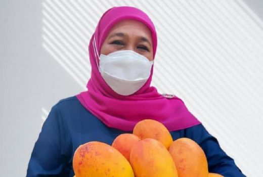 Mangga Podang Khas Kediri yang Bikin Khofifah Jatuh Cinta - GenPI.co JATIM