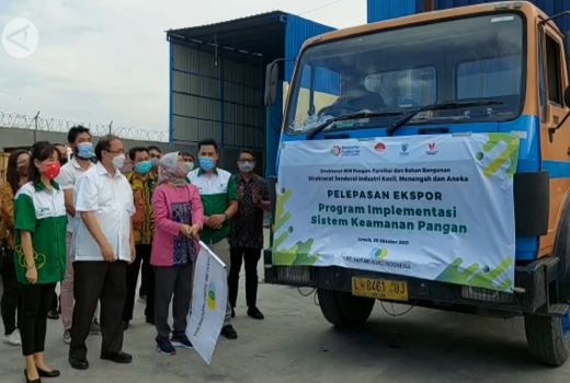Kemenperin Ekspor Porang, Harganya Terus Naik - GenPI.co JATIM