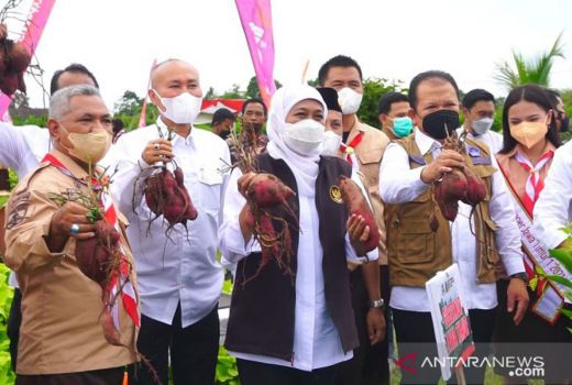 Alat Pertanian Sudah Canggih, Khofifah Ajak Milenial Jadi Petani - GenPI.co JATIM