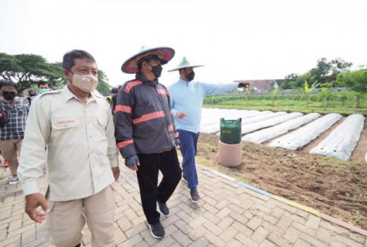 Porang Jadi Komoditas Unggulan, Tapi Belum Maksimal, ini Caranya - GenPI.co JATIM