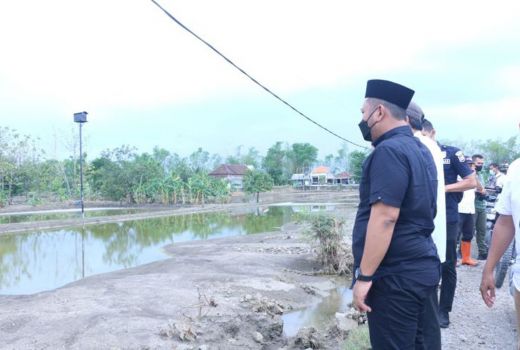 Sawah Banjir, Petani Wadul ke Bupati Gresik - GenPI.co JATIM