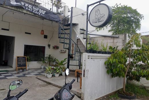 Kafe Kucing Baru Buka di Malang, Cat Lovers Merapat - GenPI.co JATIM