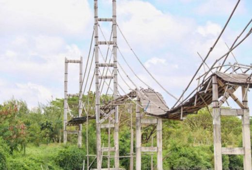 Legislatif Cium Ada Kesalahan di Jembatan Bambu Mangrove Wonorejo - GenPI.co JATIM