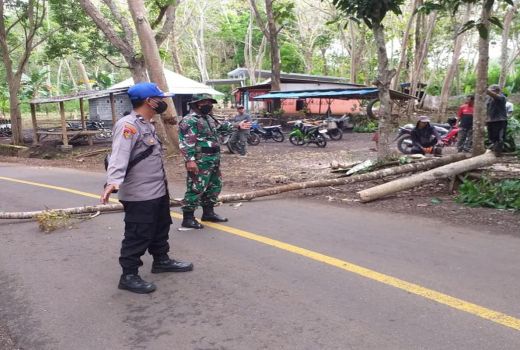 Antisipasi Bencana, Polair Polres Malang Potong Pohon - GenPI.co JATIM