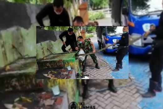 Banjir dan Pohon Tumbang Saat Hujan, Waspada Ular - GenPI.co JATIM