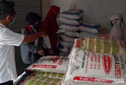 Pemkab Probolinggo Tambah Pupuk Subsidi, Petani Senang - GenPI.co JATIM