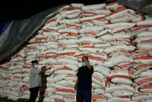 Petani Situbondo Siap-siap Dapat Kabar Baik, Simak - GenPI.co JATIM