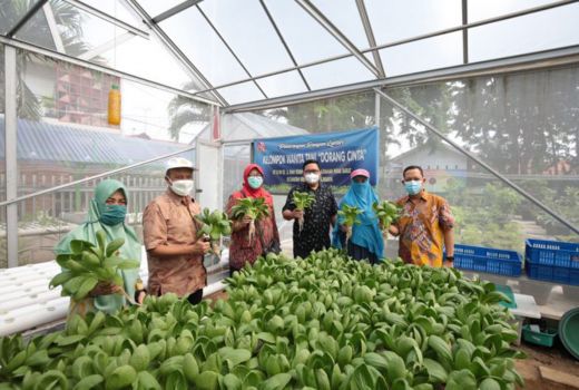 Peran Kelompok Wanita Tani di Surabaya Tak Main-main, Lihat Saja! - GenPI.co JATIM
