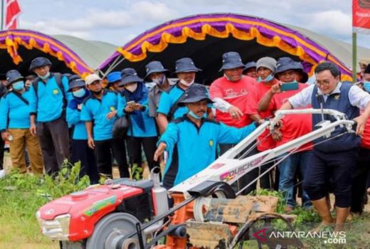 Pemkab Pamekasan Keluarkan Inovasi Pertanian, Keren Banget! - GenPI.co JATIM