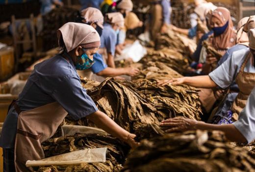 Jelang 2021, PTPN X Raih Prestasi, Yuk Intip - GenPI.co JATIM