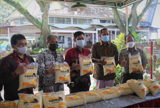 UMM Luncurkan Profeed, Makanan Praktis untuk Sapi - GenPI.co JATIM