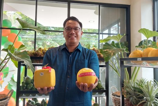 Melon di Geofresh Indonesia Bentuknya Tak Biasa, Unik! - GenPI.co JATIM