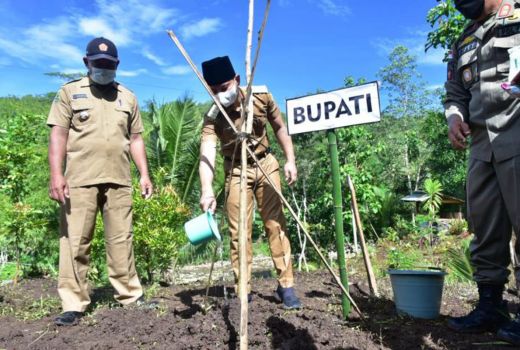 Pemkab Trenggalek, Jempolan Geliatkan Penghijauan, Lihat Saja - GenPI.co JATIM