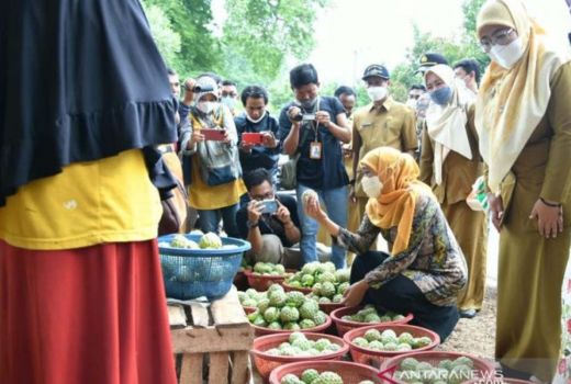 Srikaya Datangkan Cuan, Khofifah Minta ini ke Pemkab Sumenep - GenPI.co JATIM