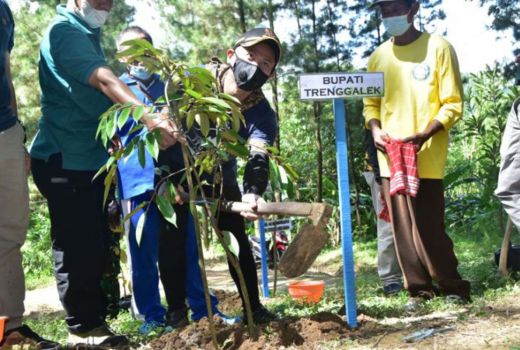 Pemkab Trenggalek Getol Tanam Pohon, Jaga Lingkungan, Lihat ini - GenPI.co JATIM