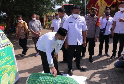 Jeruk Nipis Gresik Kini Naik Kelas, Jangkau Pasar Internasional - GenPI.co JATIM