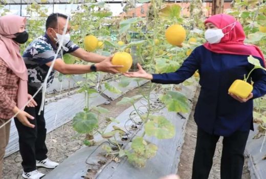 Pertanian Jatim Tumpuan Utama Pemulihan Ekonomi, ini Alasannya - GenPI.co JATIM