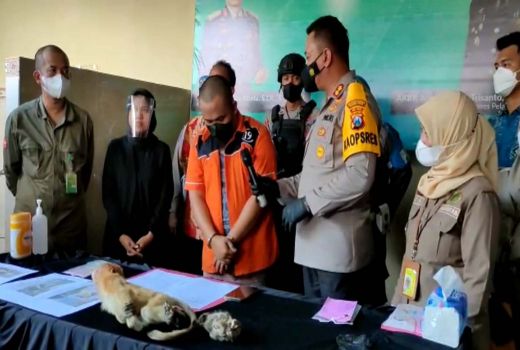 Polres Tanjung Perak Gagalkan Penyelundupan Satwa, ini Kondisinya - GenPI.co JATIM