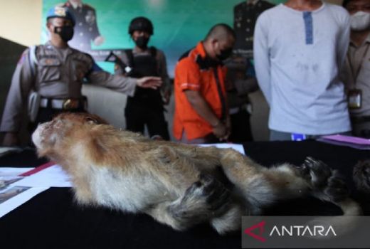 Aksi Sopir Truk ini Nekat, Akhirnya Ditangkap Polisi di Surabaya - GenPI.co JATIM