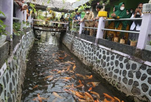 Komunitas di Banyuwangi Keren Banget, Ubah Sungai jadi Kolam Ikan - GenPI.co JATIM