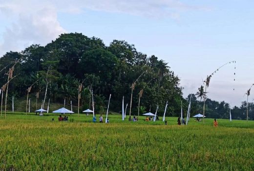 Gumuk Aliyan, Destinasi Wisata Baru di Banyuwangi - GenPI.co JATIM