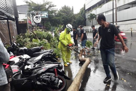 Sejumlah Kendaraan Rusak Tertimpa Pohon di Kediri, Waspada - GenPI.co JATIM