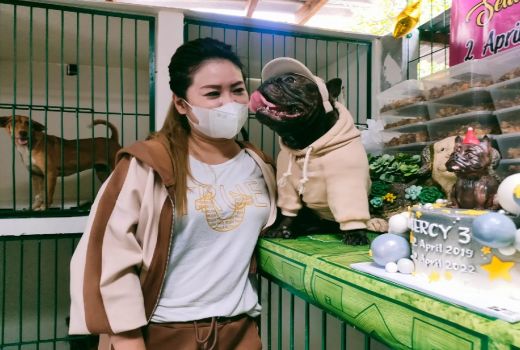 Viral Jagal Anjing, Dog Lovers Surabaya Lakukan Aksi Nyata - GenPI.co JATIM